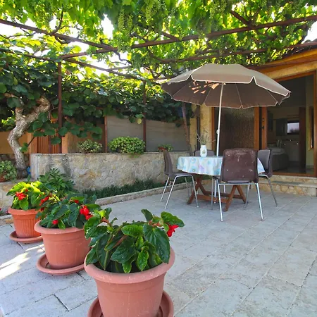 1462 Pula